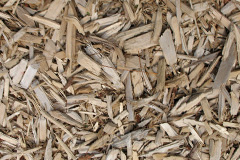 biomass boilers Cockthorpe
